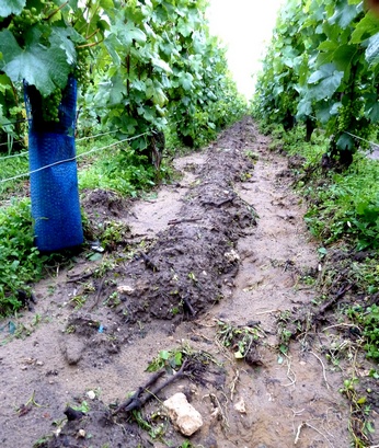 Orage de grêle en Champagne